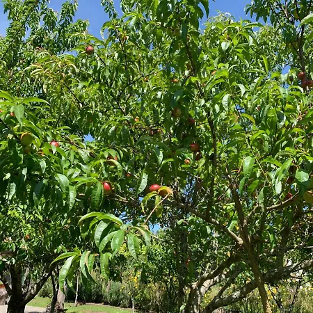 A Casa Vermella Con Jardin A 10 Minutos De Santiago De Compostela * Ortono