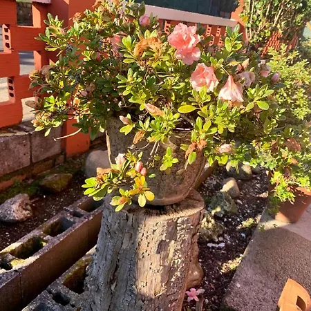 Apartament A Casa Vermella Con Jardin A 10 Minutos De Santiago De Compostela *